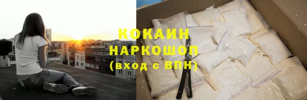 тгк Алзамай
