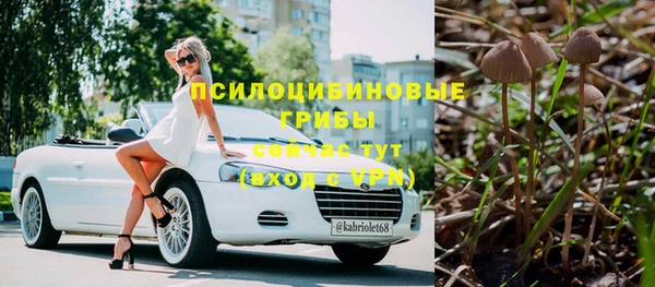 прущая мука Краснослободск
